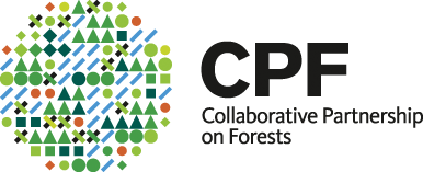 CPF_new2011_logo